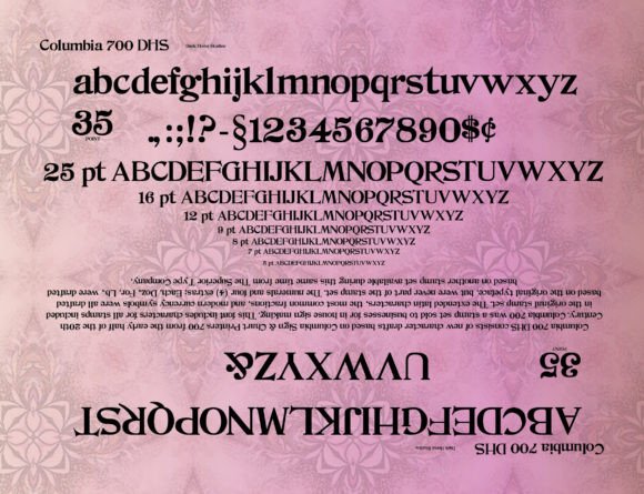 Columbia 700 Dhs: A Font for Business Style
