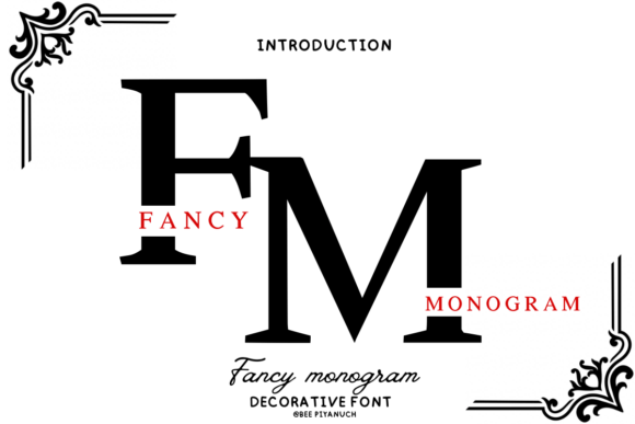 Fancy Monogram Font for Creative Marketing