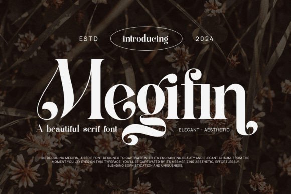 Megifin: A Stylish Serif Font for Campaigns