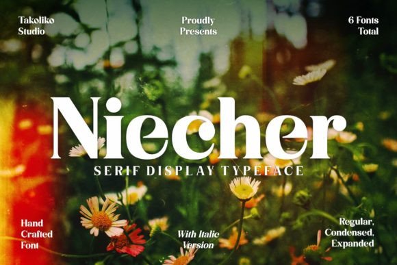 Niecher: A Stylish Display Font for Marketers